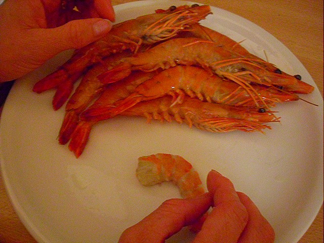 [SDC147566.jpg]