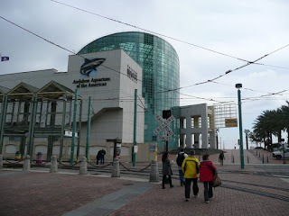 P1060749.jpg