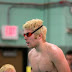 IMG_5854.jpg