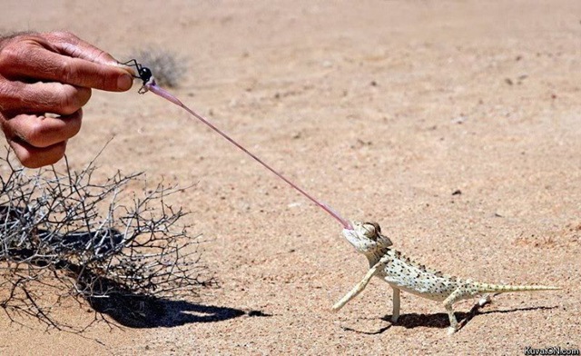 [Imagens da Semana 37 (15)[4].jpg]