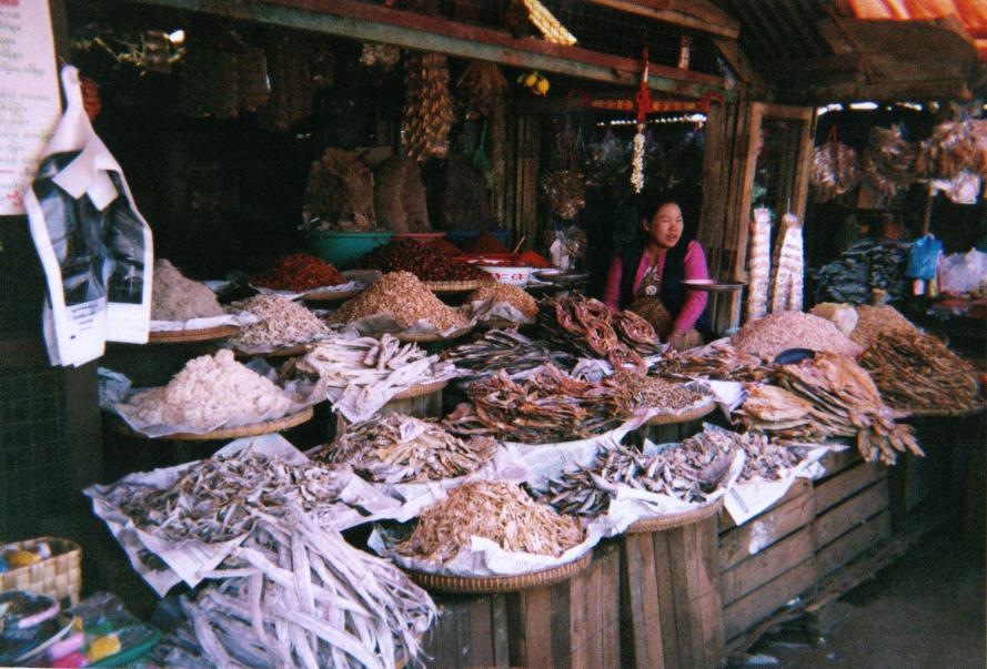 [myanmar_pyin_u_lwin_fish_monger[1].jpg]