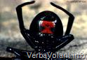 [image[8].png]