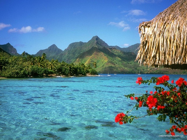 [borabora32-1024x768[7].jpg]