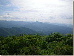 IMGP0611