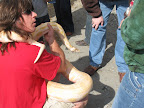 IMG_0772.JPG
