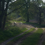 fietsen door Smeerling.jpg
