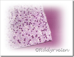IMG_4531B IMG_4531B