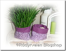 IMG_4530B IMG_4530B