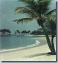 clip_image002