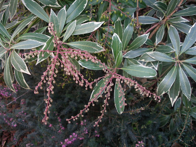 P1300008.JPG