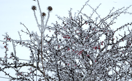 Rime Rime