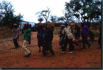 clip_image005