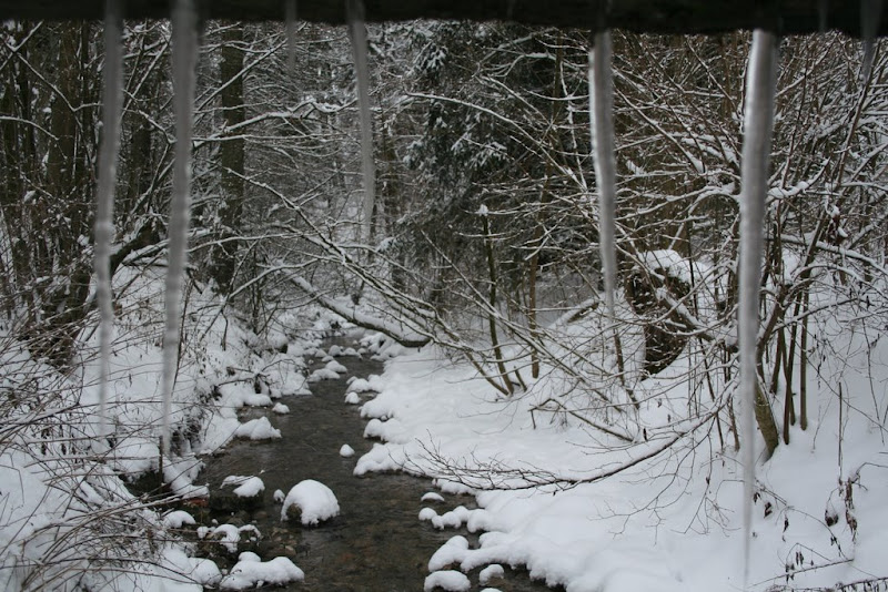 rivière et glaçon