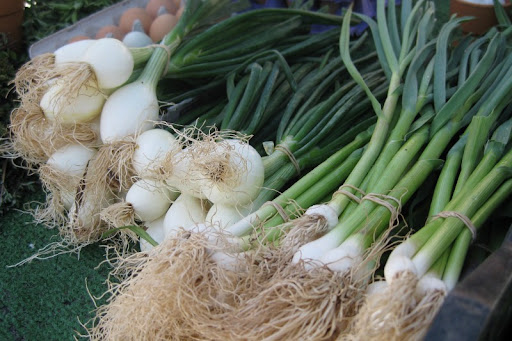 Spring Onions and Green Garlic