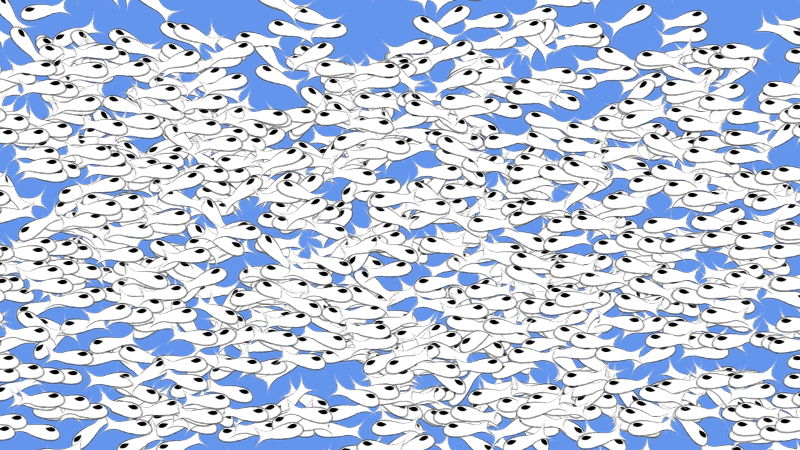 Lots of Fishes