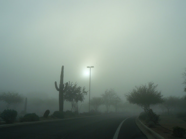 Fog Descends Upon Las Sendas, Mesa AZ
