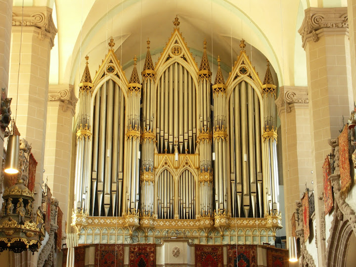 http://lh4.ggpht.com/_1fk34j8W6WU/TAQNxzSMl3I/AAAAAAAABbM/r_p-s8RRy3g/s720/Orga%20Buchholz_Biserica%20Neagra.JPG