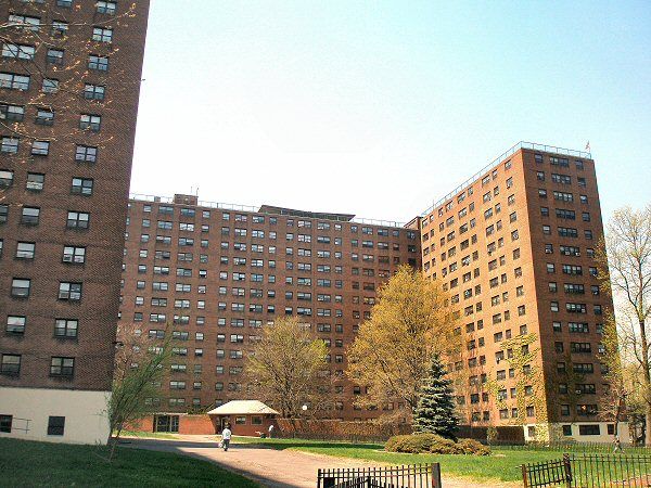 IvyApts.jpg