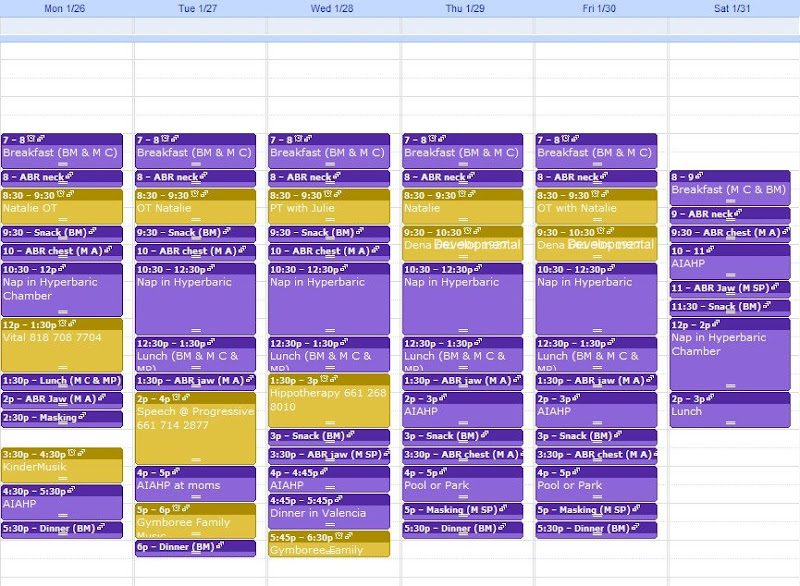 New Schedule & Therapy Plan A little piece of heaven