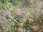 DSCN4843.JPG