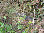 DSCN4844.JPG