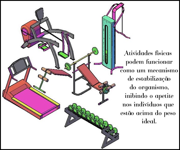atividades-físicas-inibem-apetite atividades-físicas-inibem-apetite