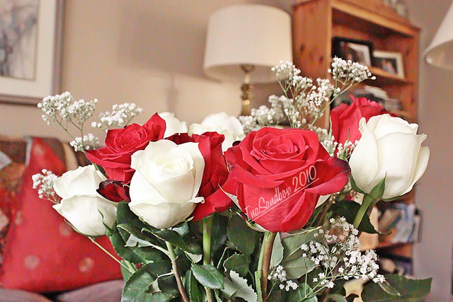 [red and white roses with logo[3].jpg]