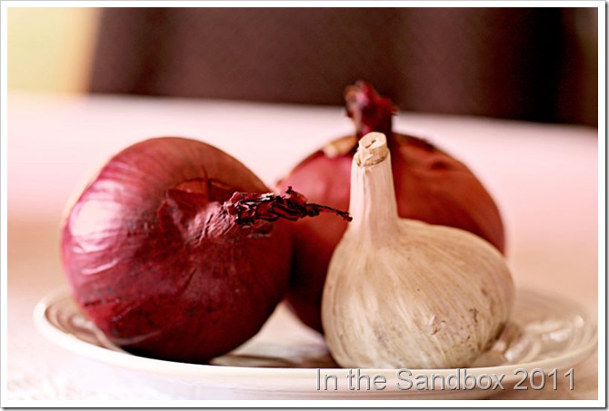 onions-on-a-plate-LR onions-on-a-plate-LR