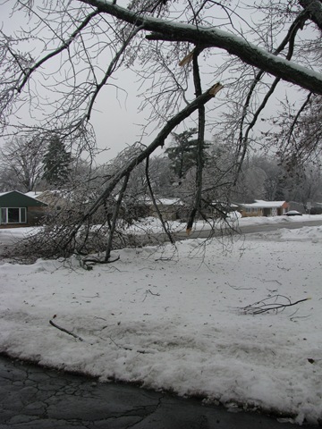 [Christmas2009 004[3].jpg]