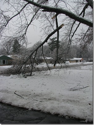 Christmas2009 004