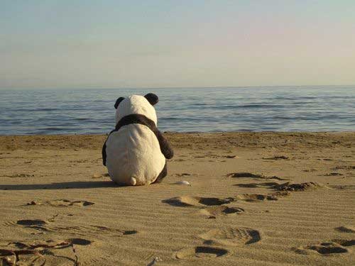 [LonelyPanda[7].jpg]