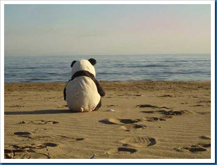 LonelyPanda