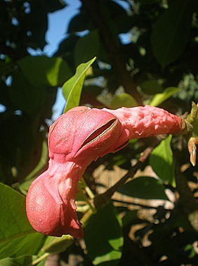 PA090012 PA090012