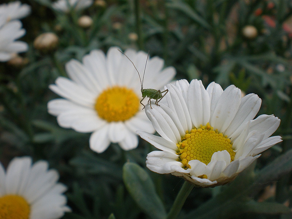 [P50900056.jpg]