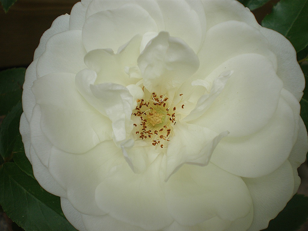 [P51800287.jpg]
