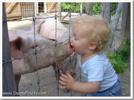 mexican_swine_flu_patient_zero