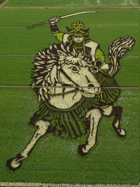 [rice_paddy_crop_art[4].png]