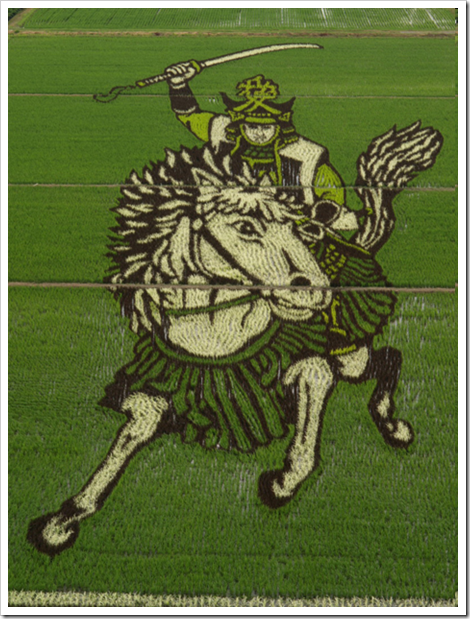 rice_paddy_crop_art