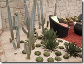 Expoflora 2009 013