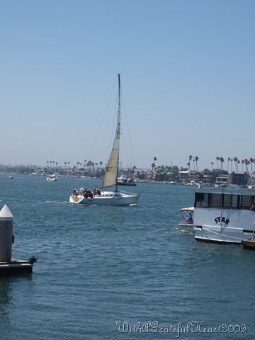 [P6281078[8].jpg]