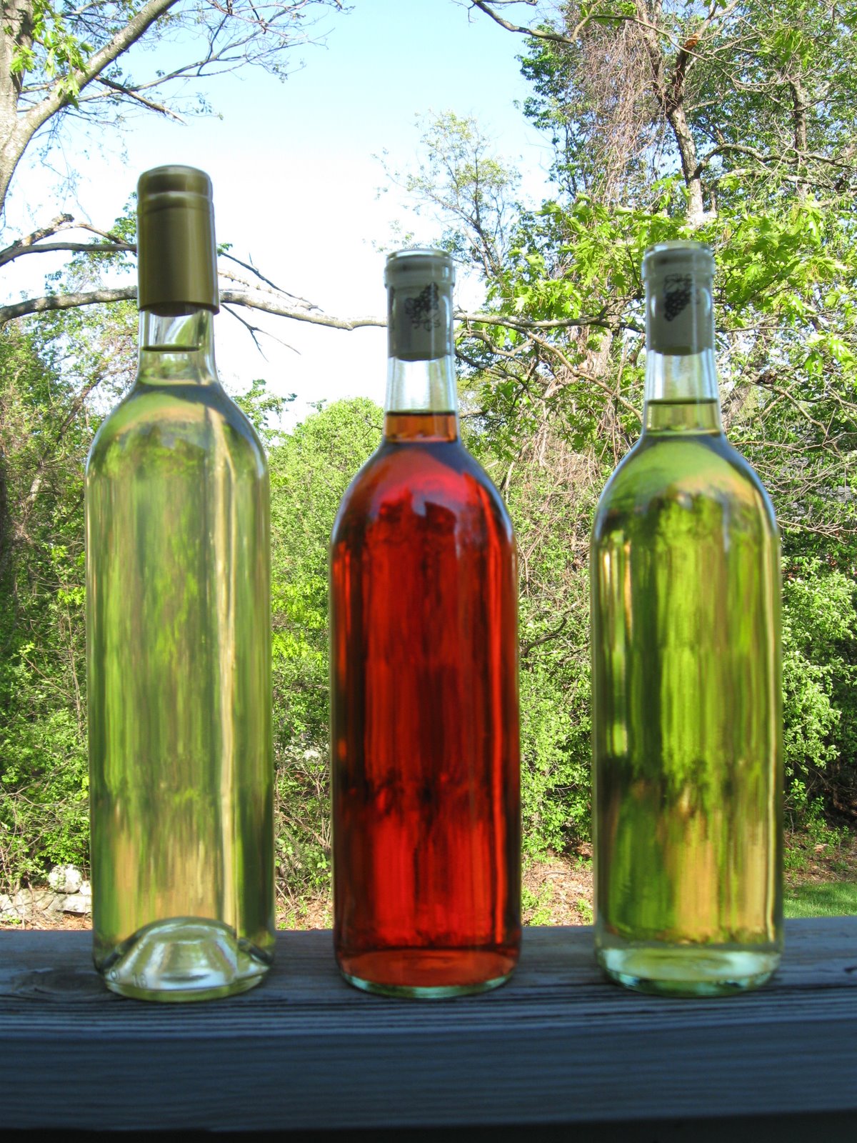 [Bottled+Wines.JPG]