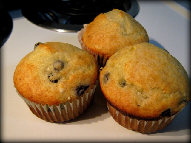 [muffins[5].jpg]