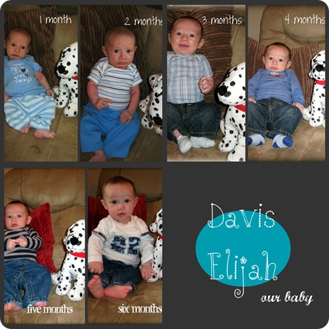 1to6 month collage