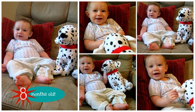 [8 mo Picnik collage[4].jpg]
