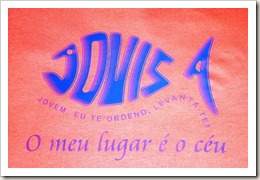 Logotipo e tema do 8º Jovisa