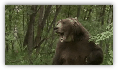 [ScreenHunter_50+May.+14+15.14.gif]