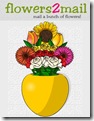fiori fiori