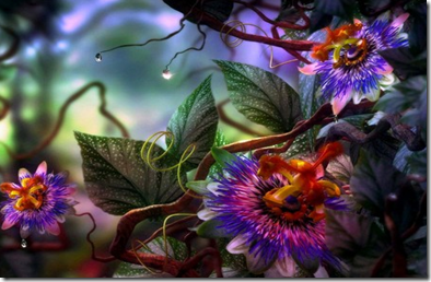 Magic flowers
