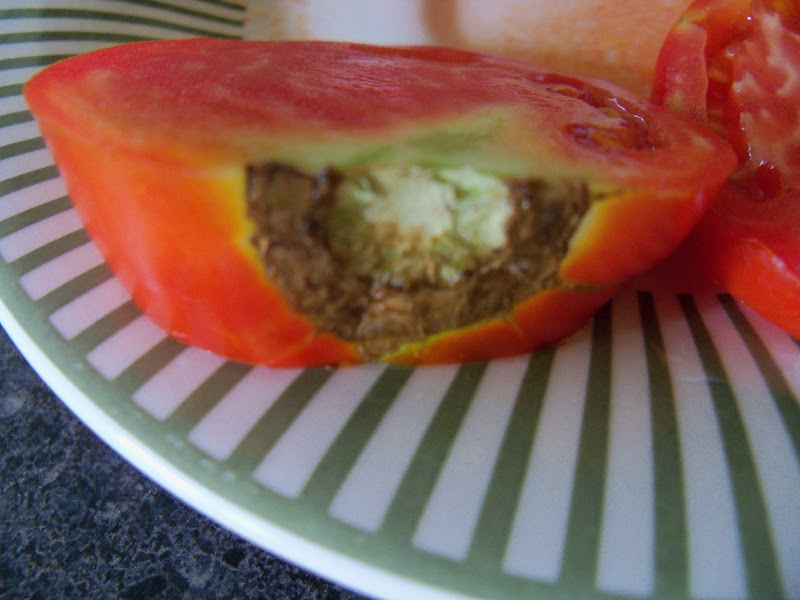 The End of the Tomato