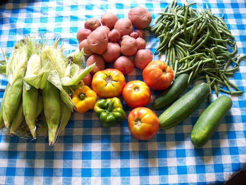 My purchases at the Salem Farmer's Market, Saturday, August 8, 2010